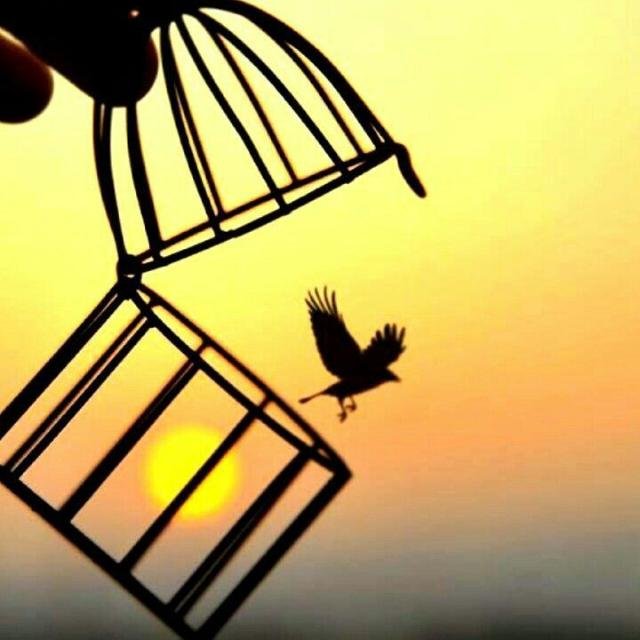 🧸میرا عشق میری جان🧸
